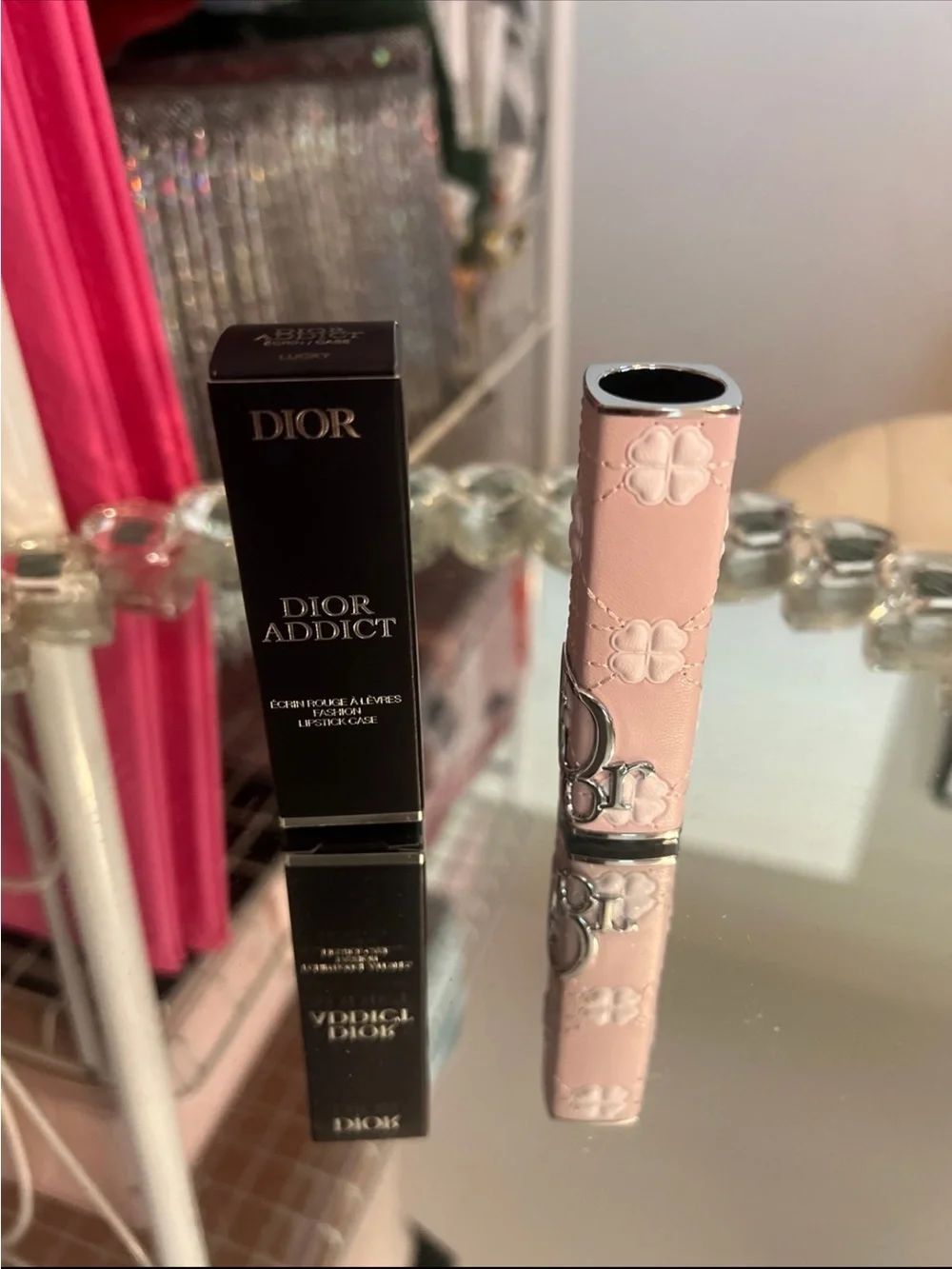 Dior Addict Lip Case in Lucky
